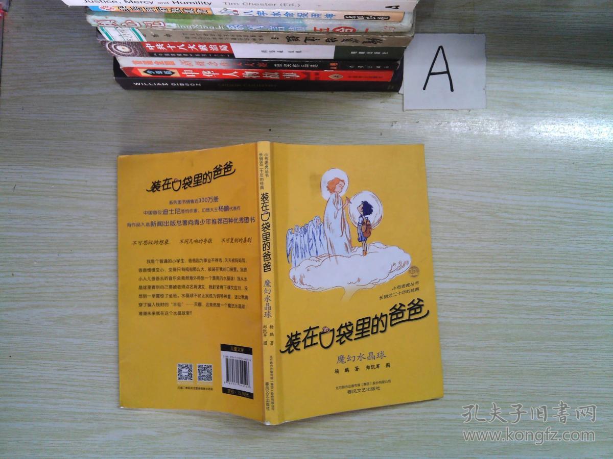 装在口袋里的爸爸:魔幻水晶球