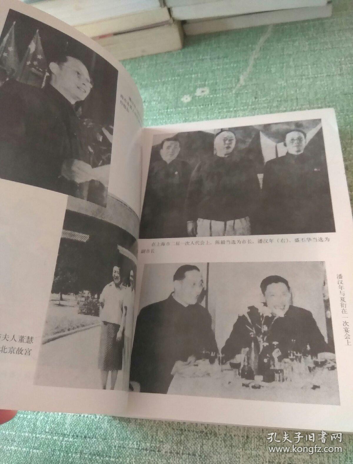 潘氏三兄弟讲述潘菽潘梓年和潘汉年三兄弟坎坷的人生历程98年一版一印