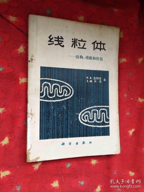 qIYBAFvP0JSAYSmnAAKEvvj2MX0245_n.jpg