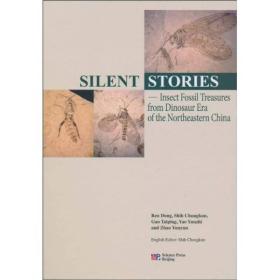SILENT STORIES