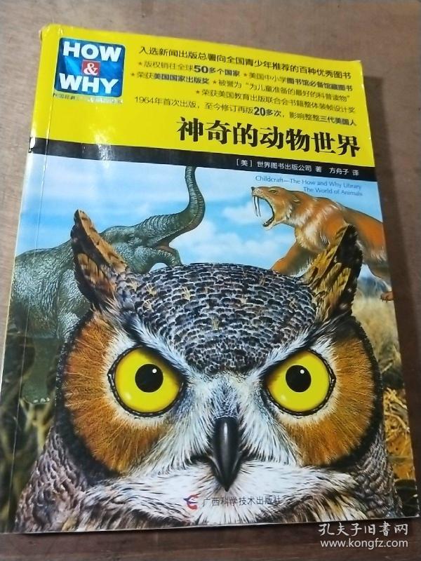 神奇的动物世界