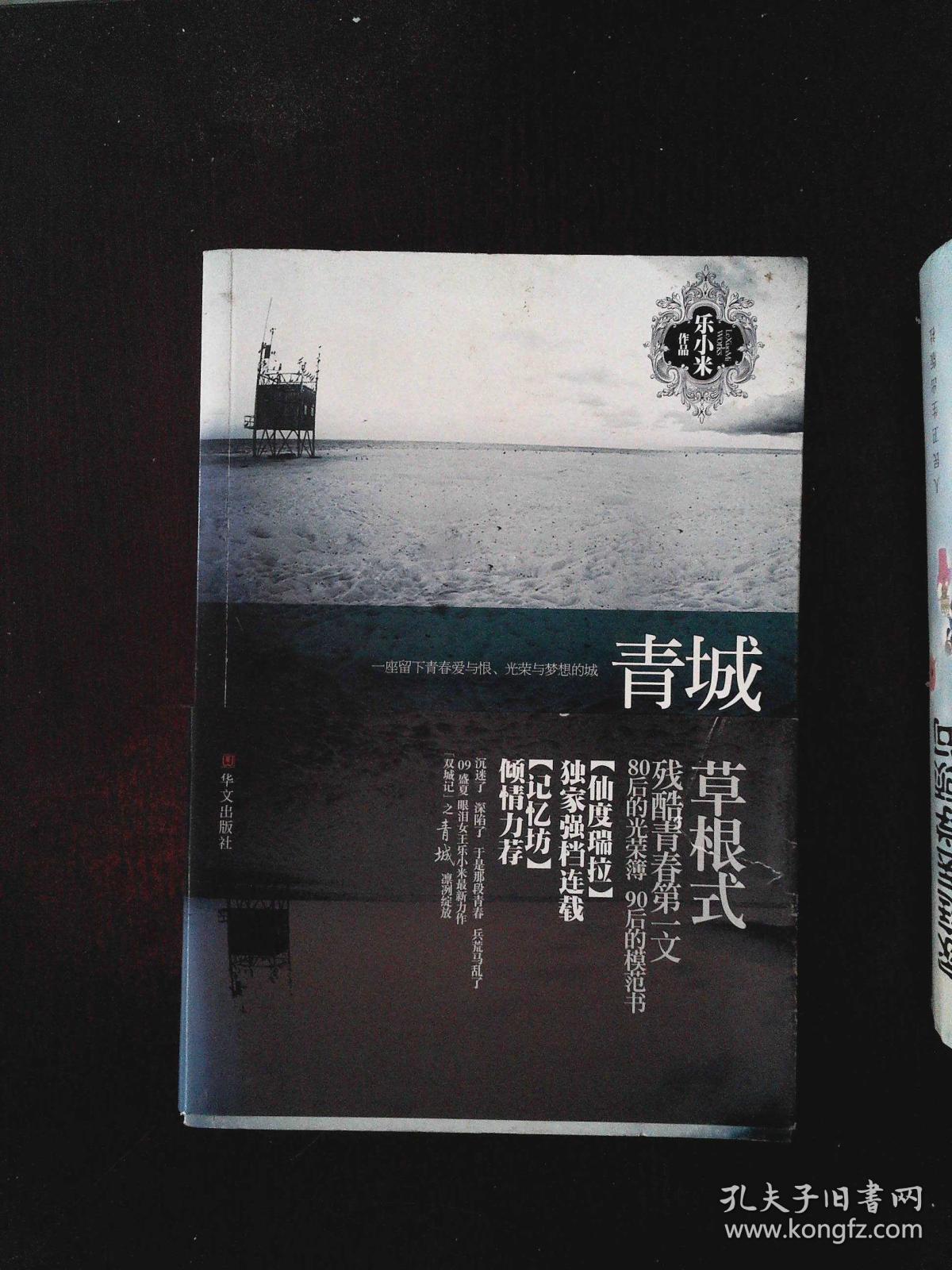 青城(乐小米)_简介_价格_文学书籍_孔网