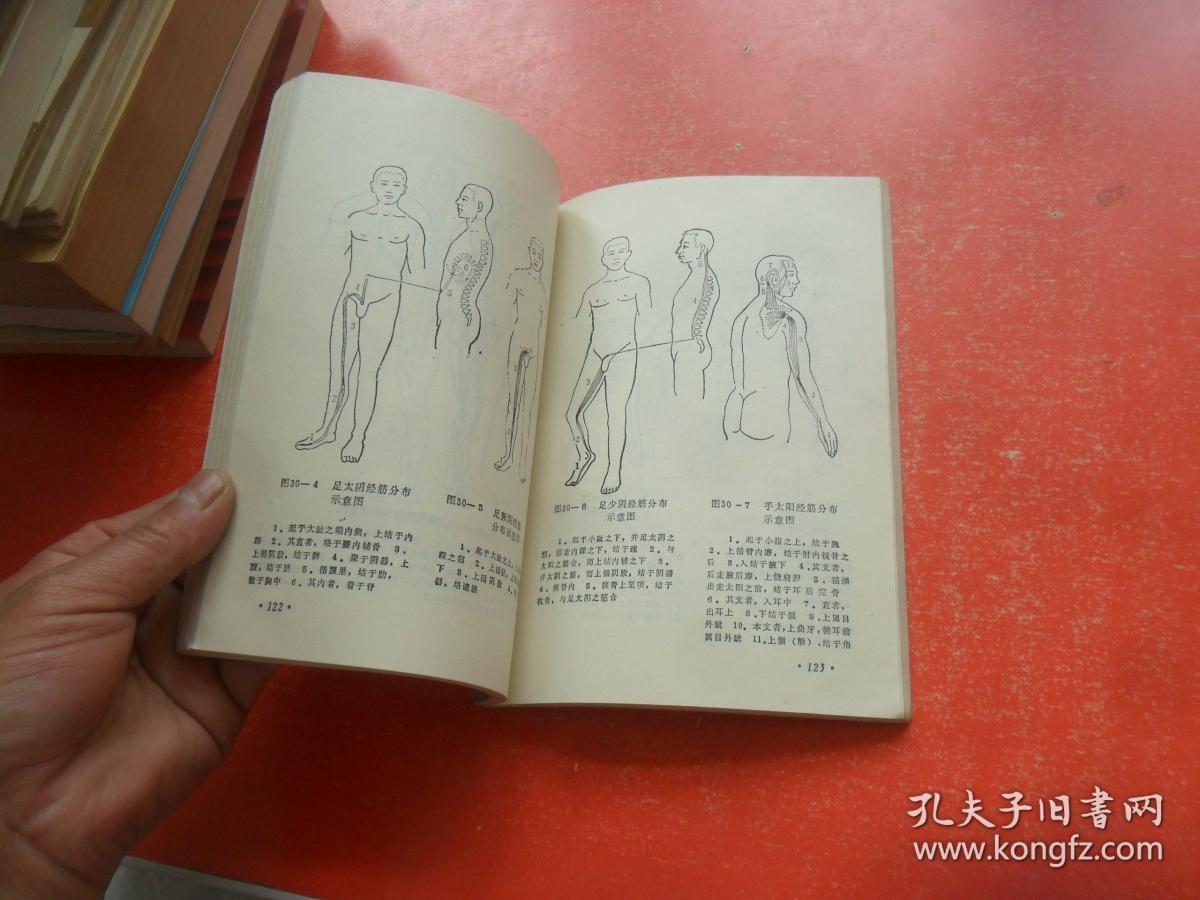 脏腑经络按摩