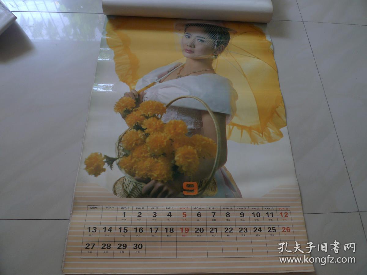 1993年塑纸美女挂历 全年十三张全 [幻雅]_贾育平_孔