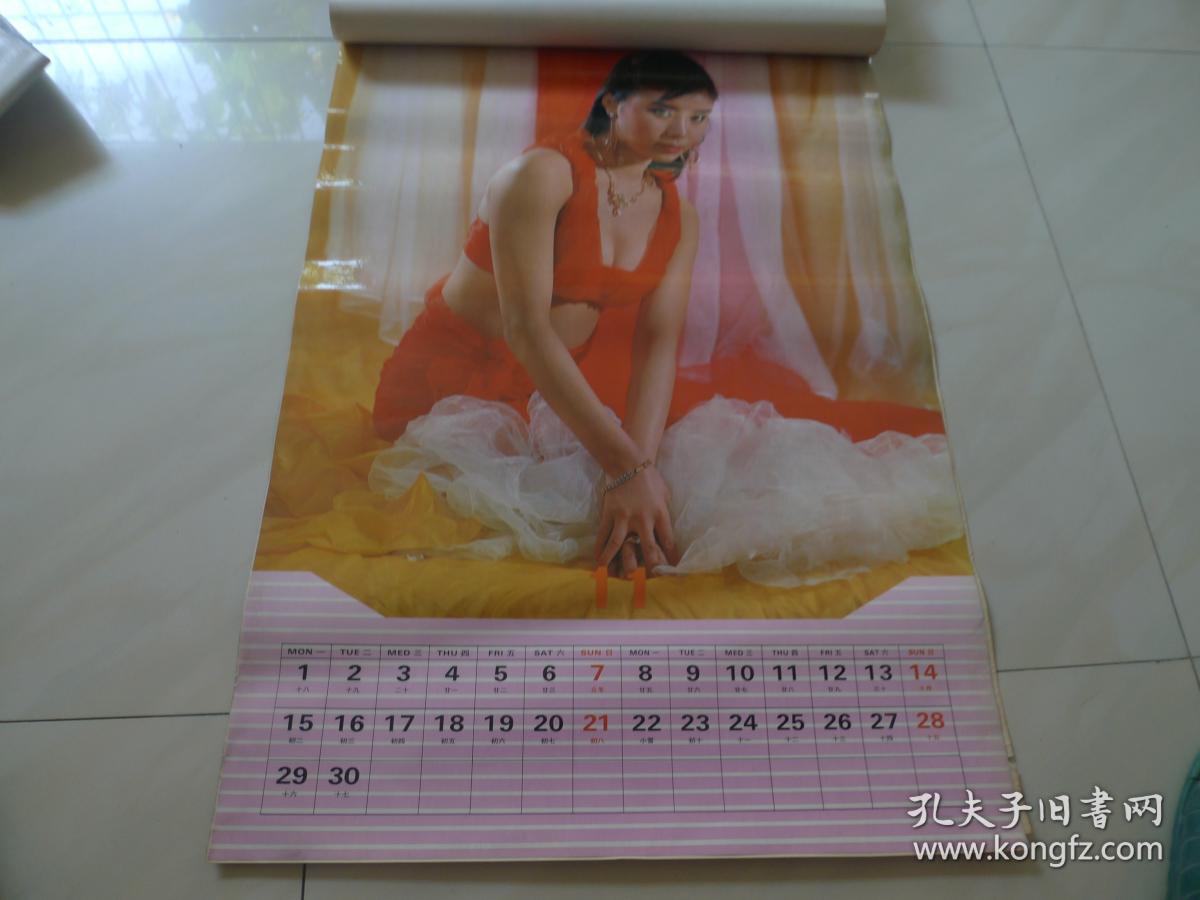 1993年塑纸美女挂历 全年十三张全 [幻雅]_贾育平_孔