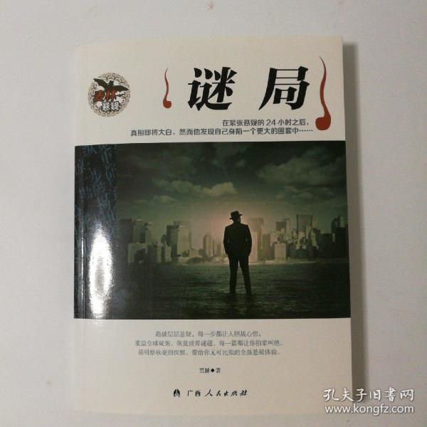 麦林悬疑:迷局