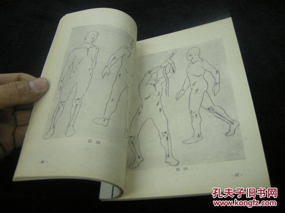 近全品,78年一版一印《人体结构与形态》