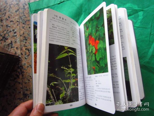 采药简谱_李时珍采药图片(2)