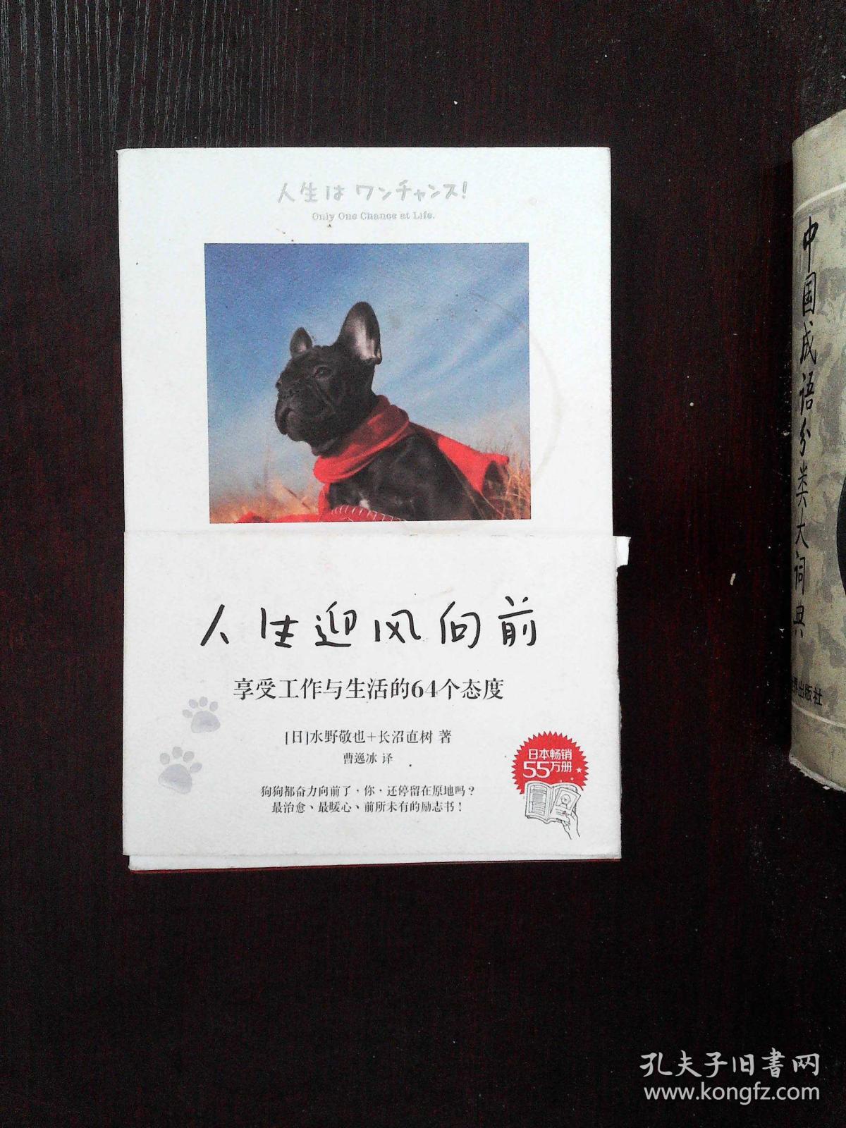 人生迎风向前:享受工作与生活的64个态度