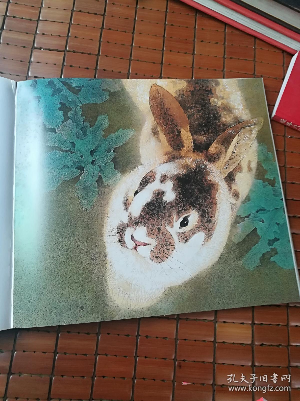 万小宁工笔画