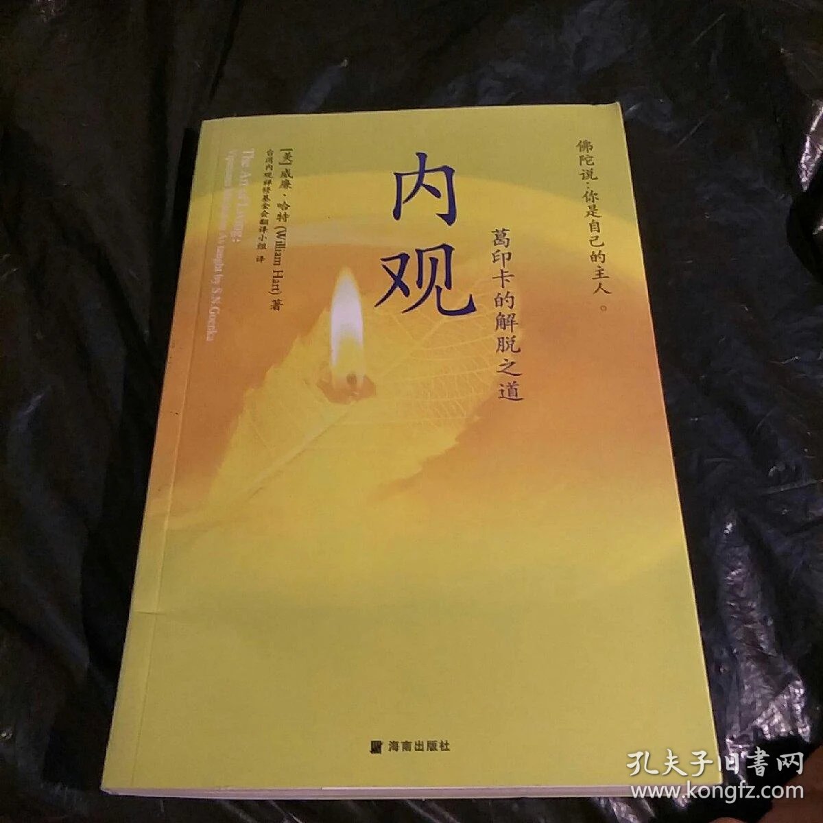 内观