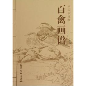 百禽画谱-中国画线描