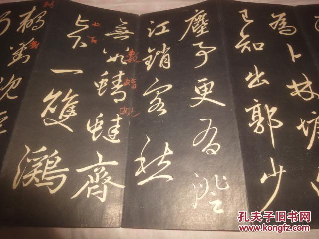 佰川控股集团董事长