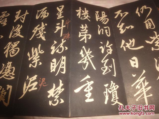 佰川控股集团董事长