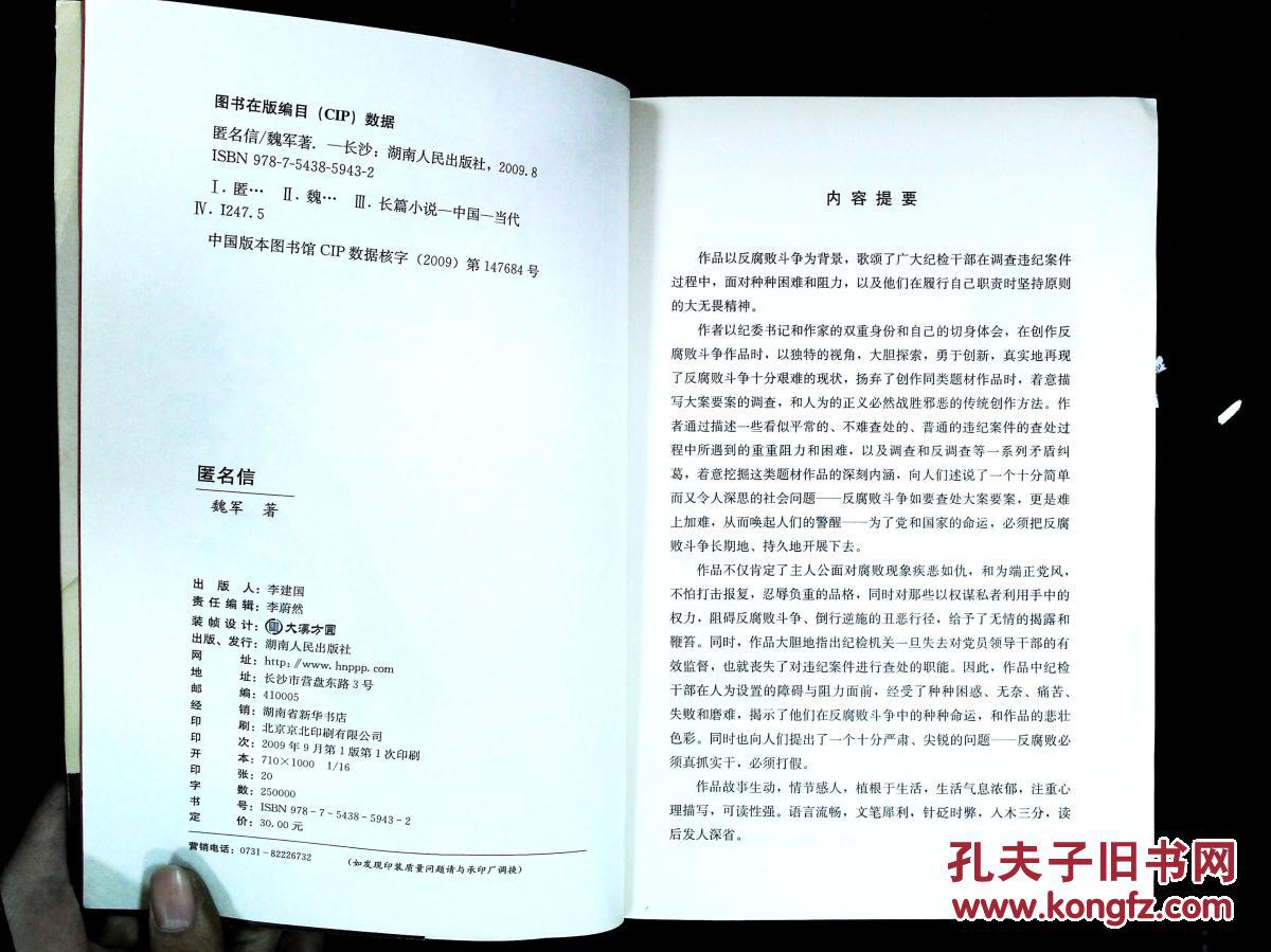 匿名信:长篇官场反腐小说