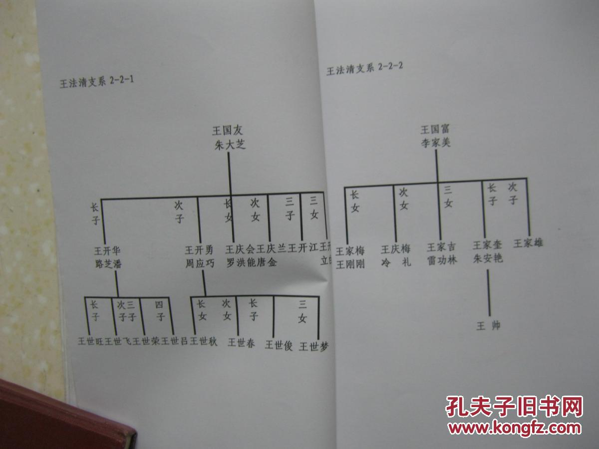 古寨东门王氏族谱(云南省昭通市鲁甸县龙树乡新乐古寨