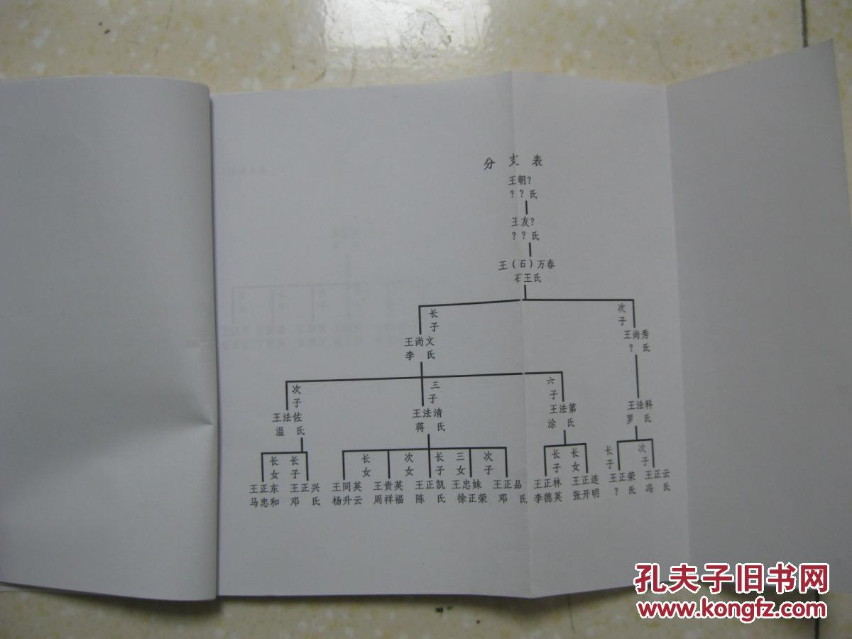 古寨东门王氏族谱(云南省昭通市鲁甸县龙树乡新乐古寨