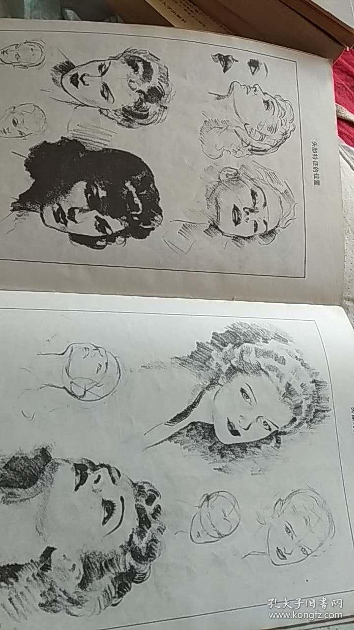 人体素描_(美)安德鲁·路米斯_孔夫子旧书网
