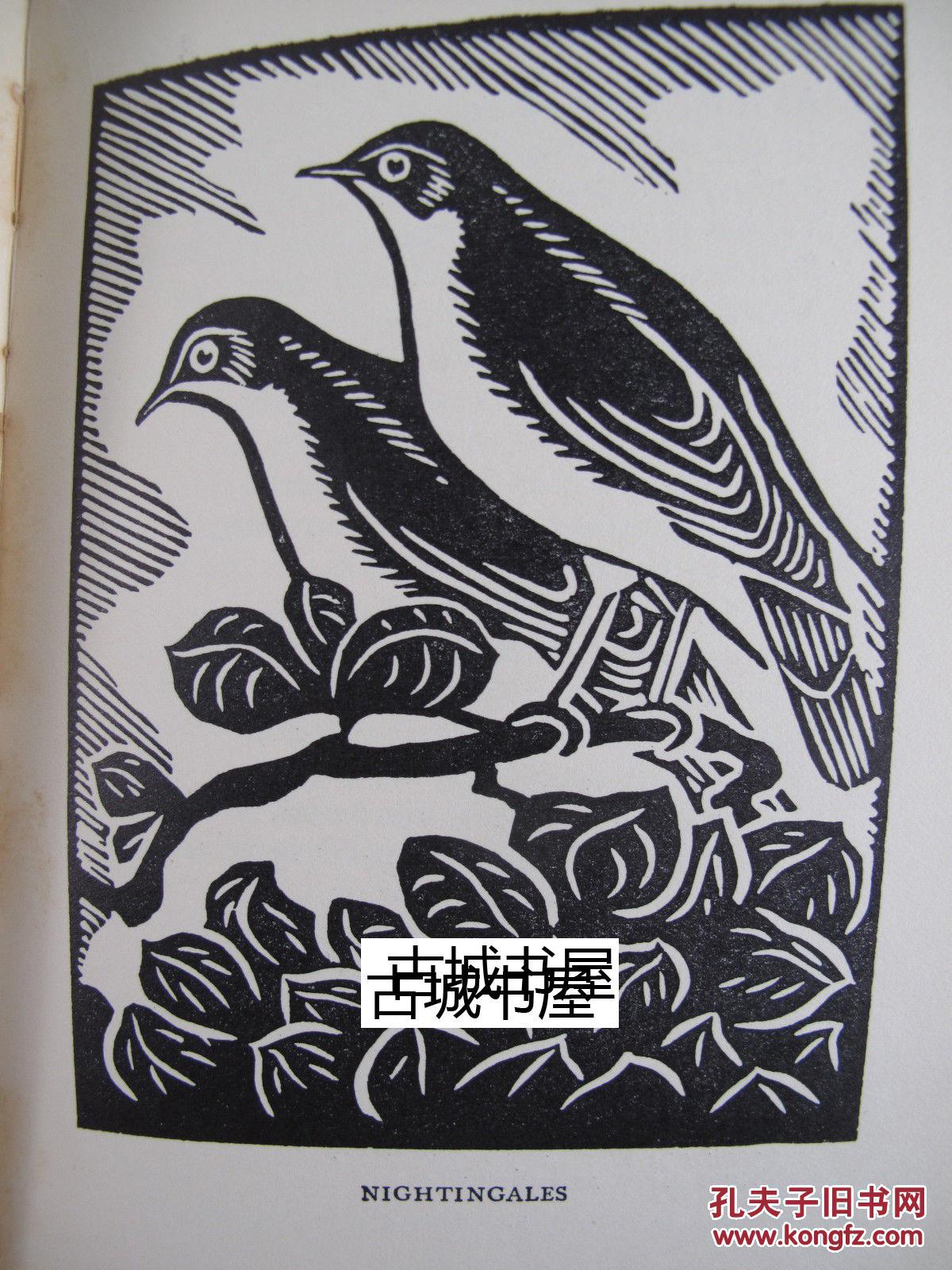 稀缺《鸟类爱好者之诗》raphael nelson的版画插图,1937年出版