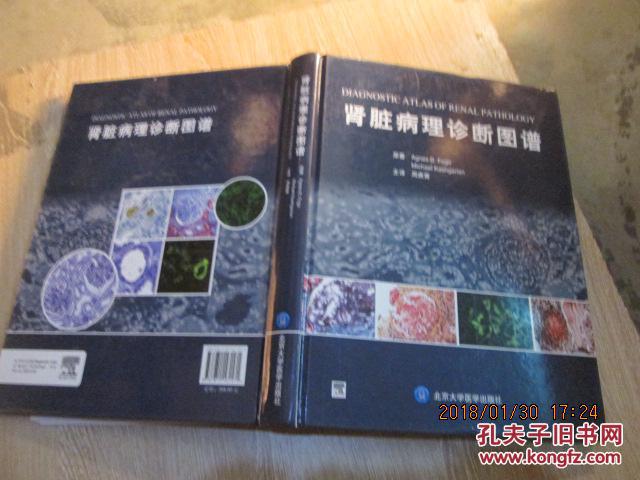肾脏病理诊断图谱