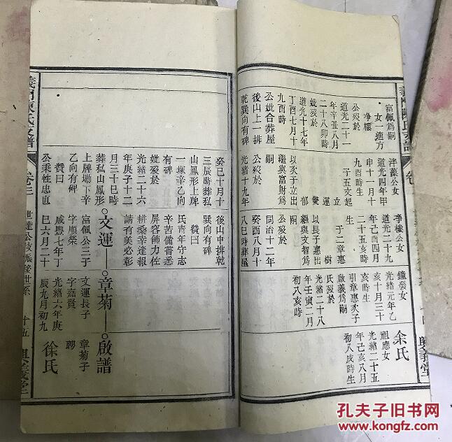 光绪21年族谱家谱 义门陈氏支谱一套4册