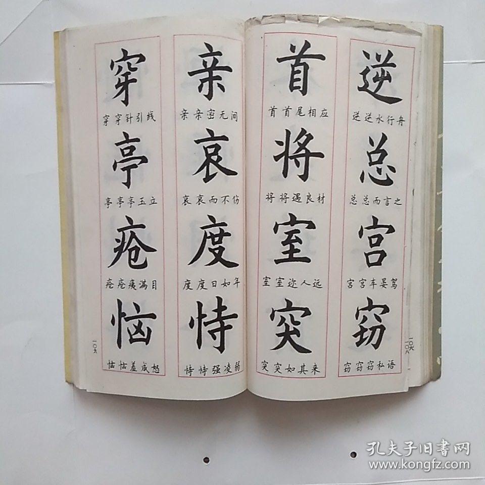 《中国成语毛笔钢笔两用字帖》—— 顾仲安书写,净重280克