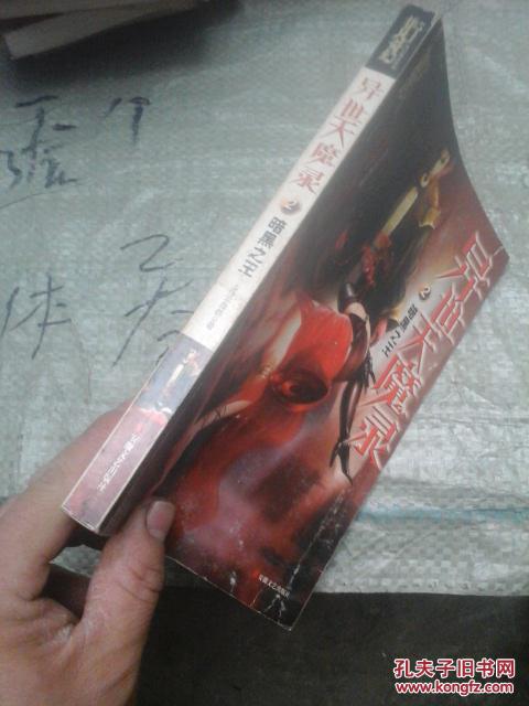 【图】异世天魔录 2 暗黑之王_安徽文艺出版社