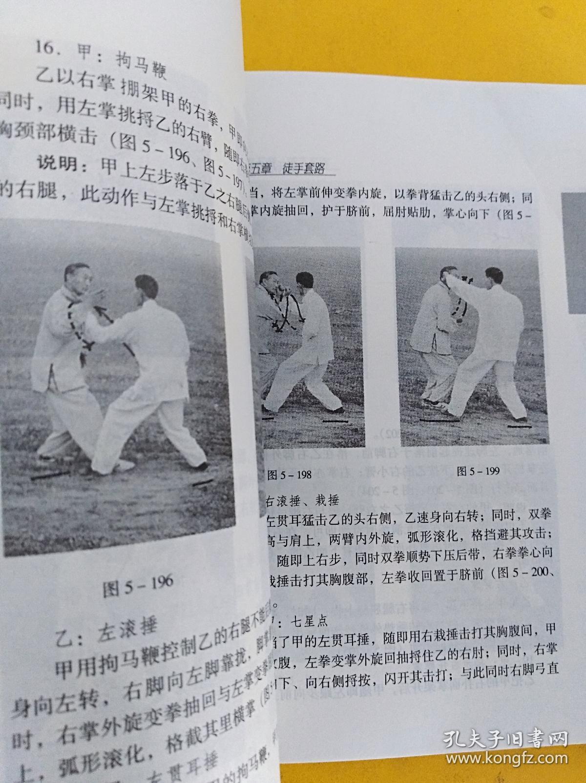 宋氏形意拳