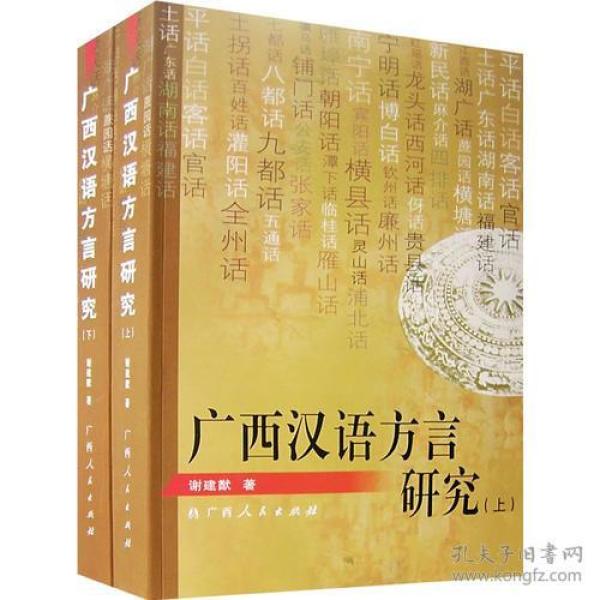广西汉语方言研究(上下册)