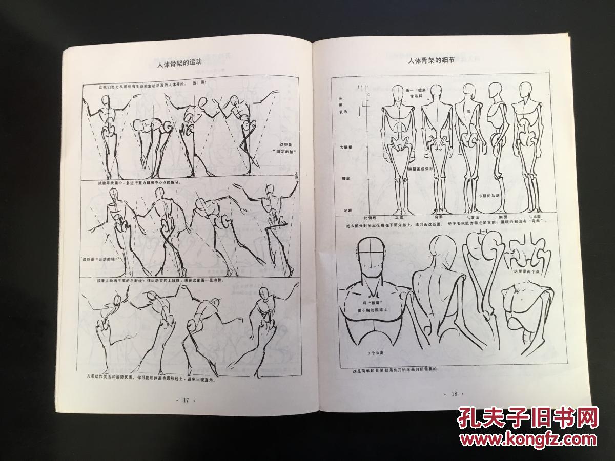 人体素描(bh14)_(美)安德鲁99路米斯_孔夫子旧书网