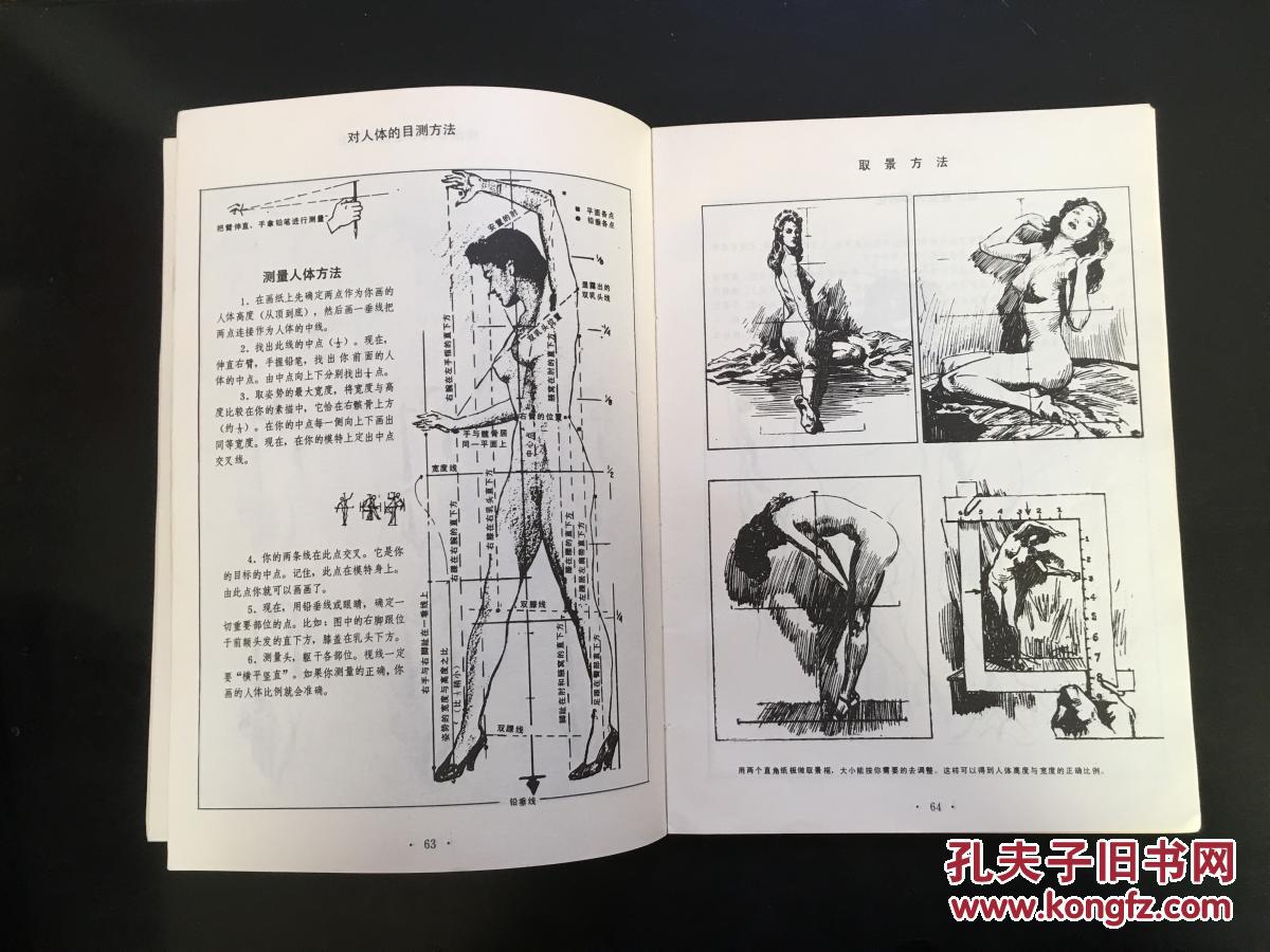 人体素描(bh14)_(美)安德鲁99路米斯_孔夫子旧书网