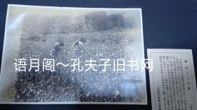 摄影作品图片以及文字说明 p4YBAFuSeSuAcUD0AAG9TDjgkFk760_s.jpg