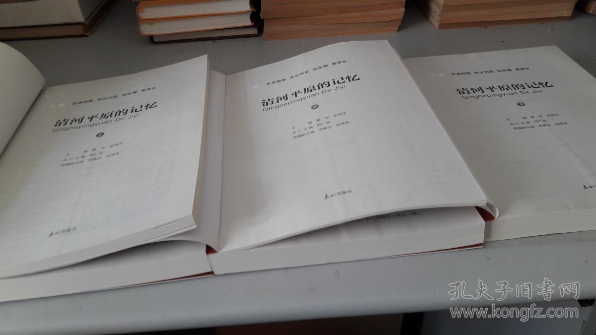 蔡华,主编.泰山出版社.书很