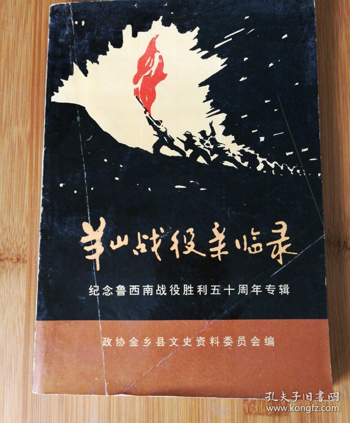 羊山战役亲临录
