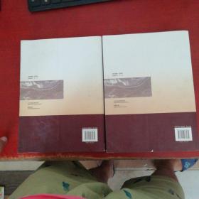 岩土工程师手册(上下)【9品弱点点】内页干净