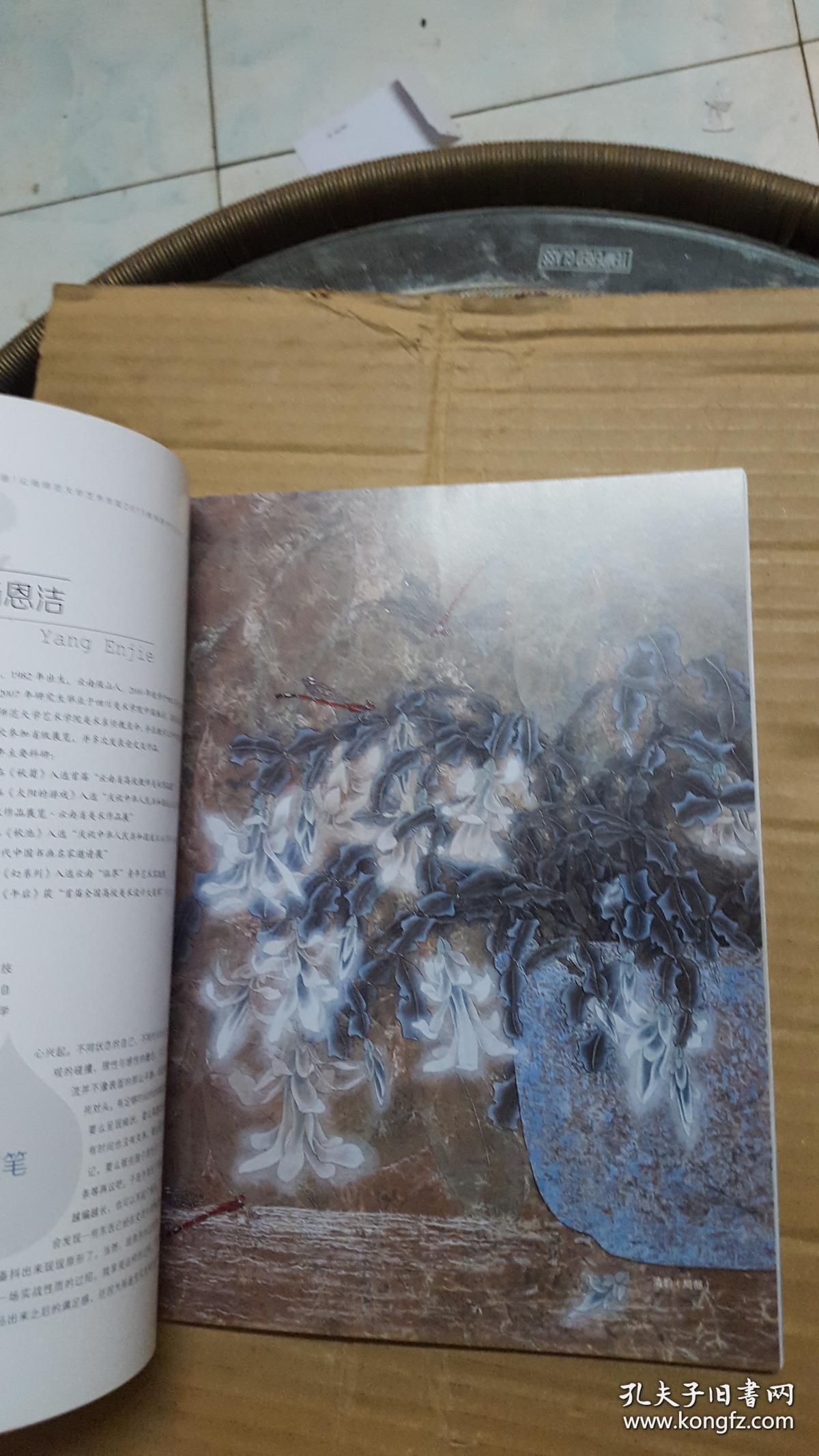云南师范大学艺术学院2013教师美术作品集
