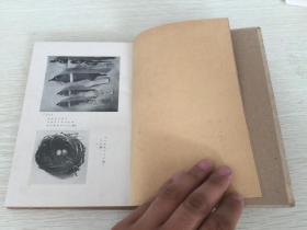 有满洲野生鸟类照片数幅,目录有野鸟观察记,满