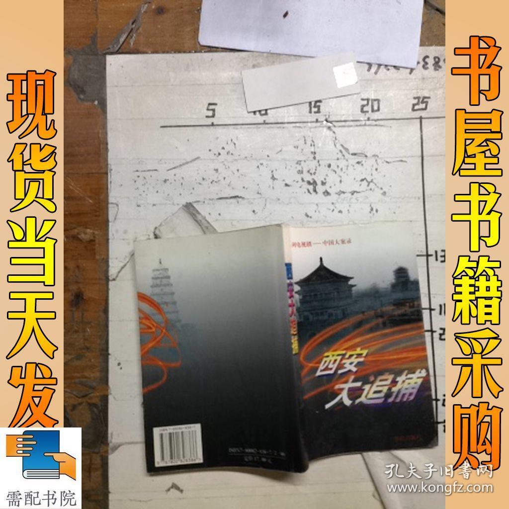 西安大追捕 (西北第一悍匪魏振海,百集系列电视剧-中国大案录)