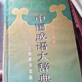大什么特什么的成语_成语故事图片(3)
