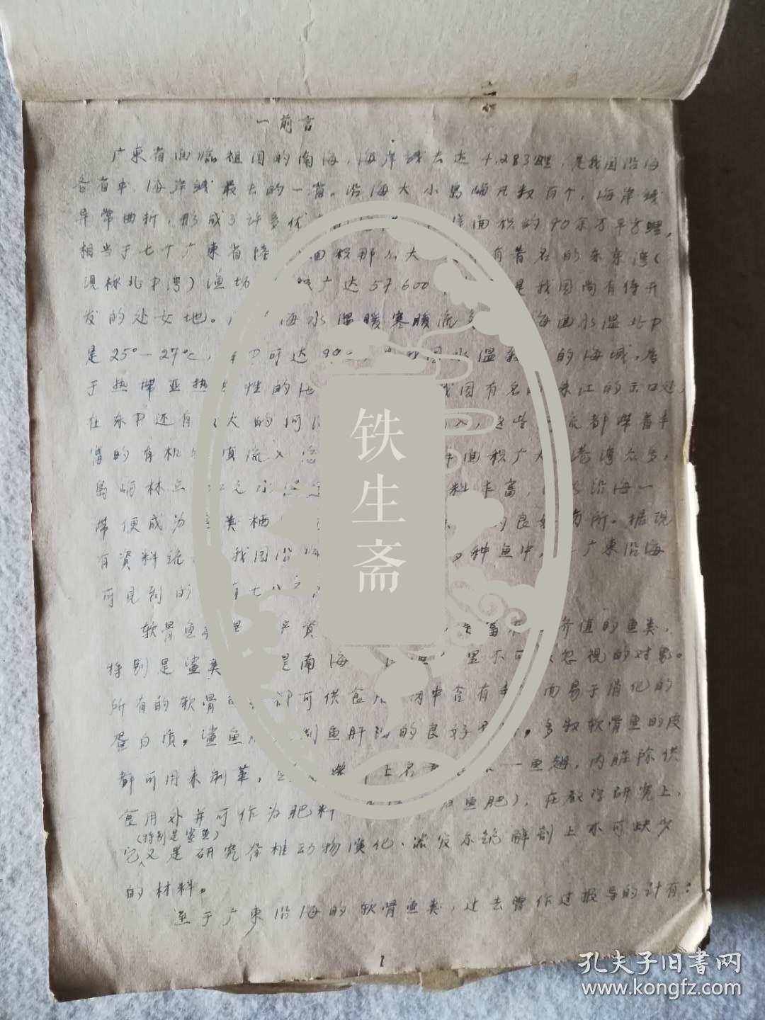 著名水产科学研究院潘炯华,华中李仲辉手稿《广东沿海软骨鱼类初步