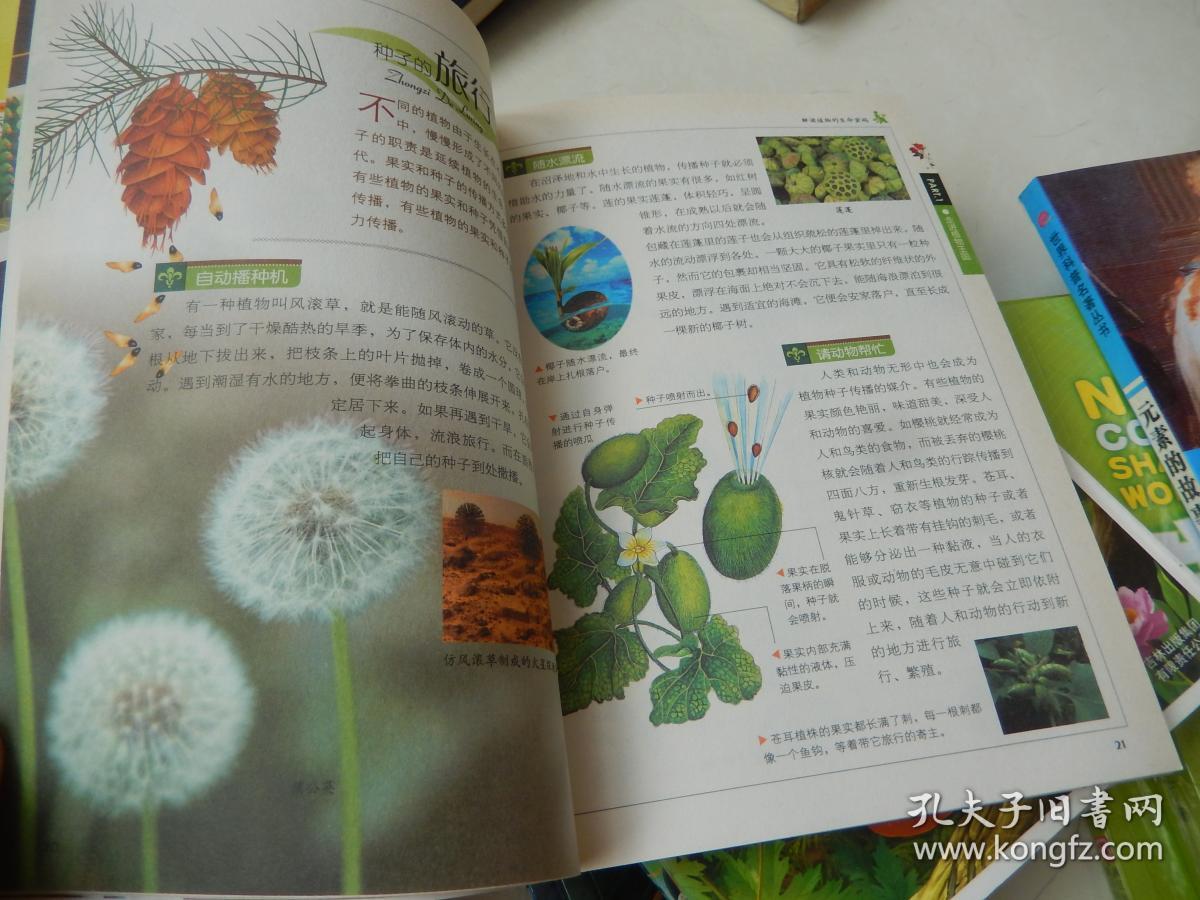 植物王国解读植物的生命密码彩图版