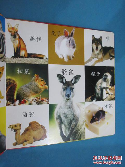 【图】我的第一本100看图认动物:识动物、学汉