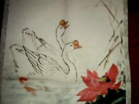 p4YBAFtufaqATXxxAAB2U2LY7fw286_s.jpg