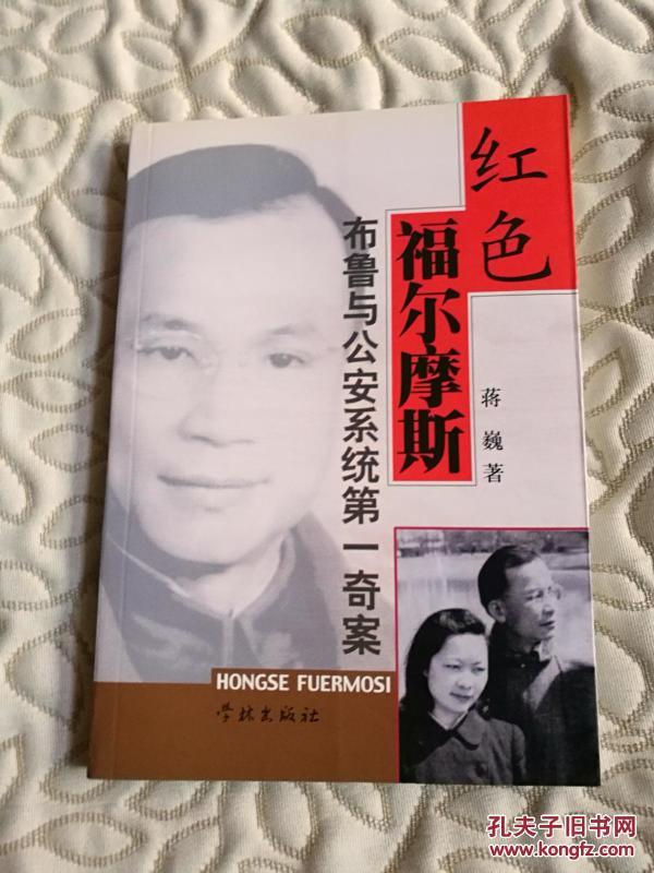 红色福尔摩斯:布鲁与公安系统第一奇案