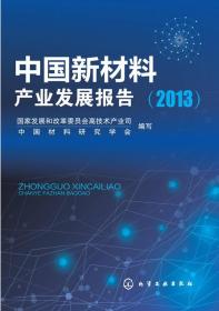 中国新材料产业发展报告(2013)