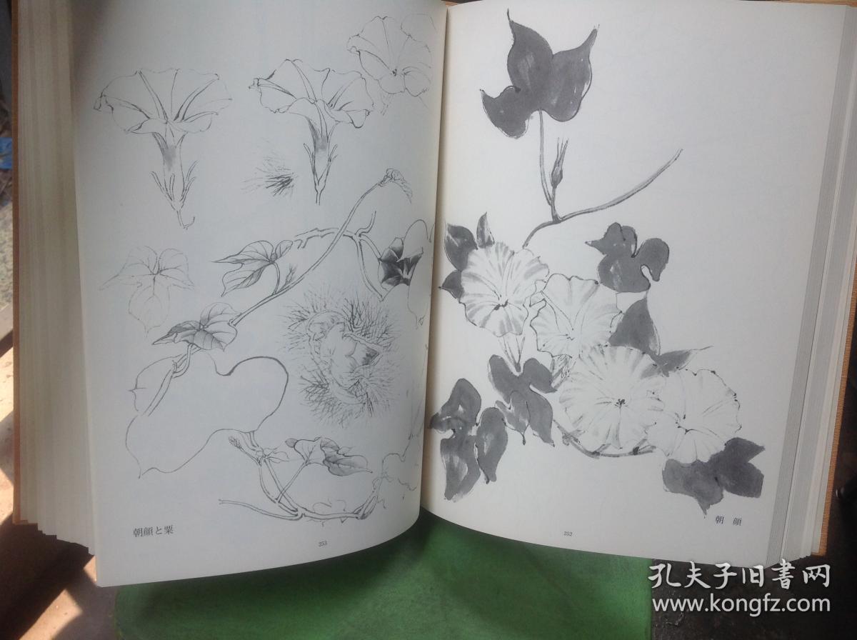草花谱田畑喜八ワイド版草花谱图案集大精装本杭州现货
