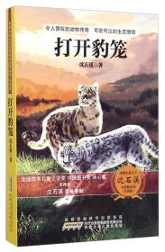 动物小说大王 沈石溪（升级版）：打开豹笼
