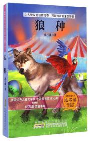 动物小说大王 沈石溪（升级版）：狼种
