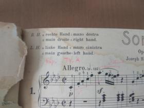 贝多芬32首钢琴奏鸣曲谱子_贝多芬最钢琴奏鸣曲