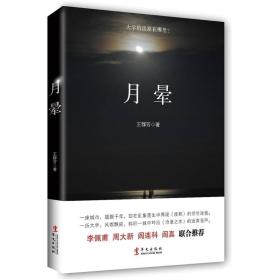 B中国当代长篇小说：月晕